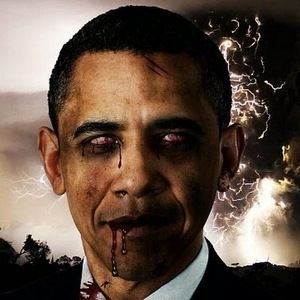 Meet your Posher, Cody